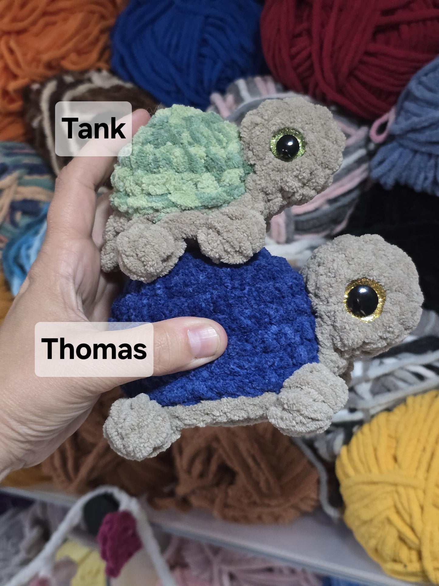 CROCHET PATTERN, Thomas the Turtle, No Sew Crochet Pattern