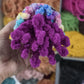 Joanna the Jellyfish Crochet Pattern | No Sew Amigurumi Jellyfish | Beginner Friendly Plush | Bubble Buddies
