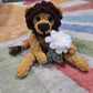 CROCHET PATTERN BUNDLE, Roary the Lion, Freckles the Giraffe, Tooty the Elephant, Noodle the Monkey, Whimsy Friends Collection